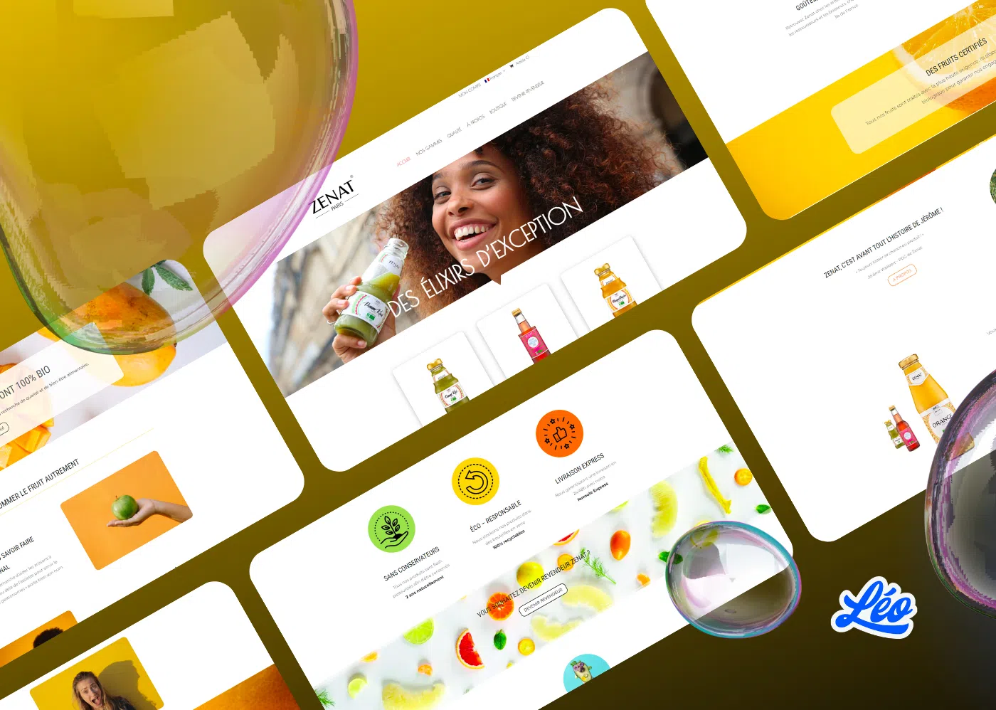 Zenat couverture porfolio webmaster