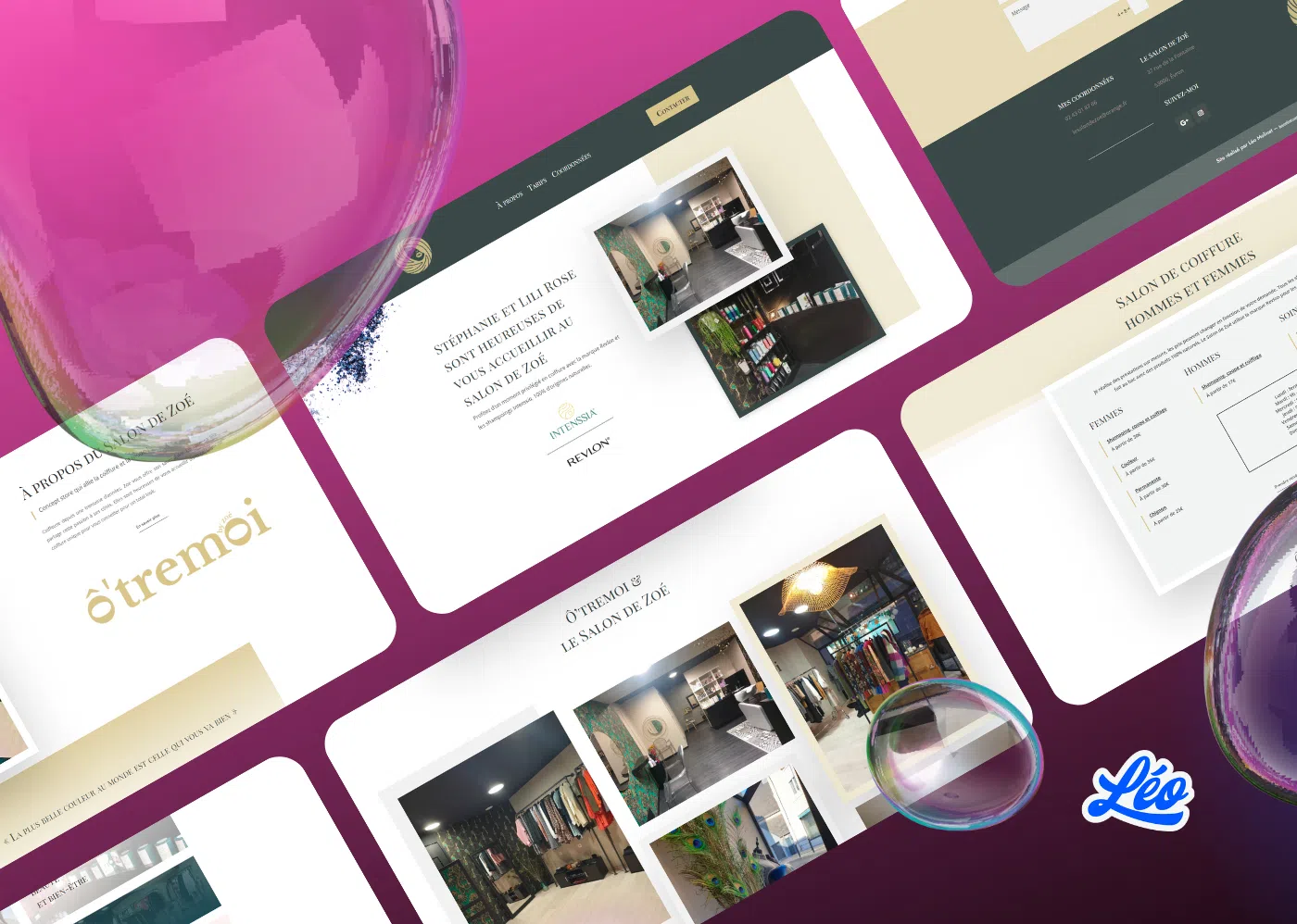 le salon de zoe couverture porfolio webmaster